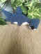 Amigurumi requin marteau 