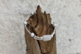 Bracelet s (monté sur fil à mémoire de forme) argenté en perles de verre-perles de rocaille-métal modèle 