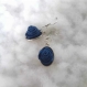Boucles d'oreillle roses bleue