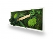 Tableau végétal naturel stabilisé green wood 18x38