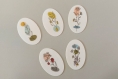 Lot de stickers, stickers laminés, illustration fleurs, fleurs de printemps, fleurs multicolore, dessin fait main, imprimé en france