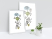 Illustration  a3  dessin fleur vintage, impression de fleurs sauvages, dessin fleur géométrique, silhouette de fleur colorée, cadeau passionné de fleurs