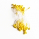Lot 30 pistils apprêt bijoux fleurs jaune brillant (double) 5,5 cm décoration bouquet