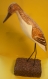 Oiseau echassier en bois peint sur son socle