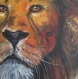 Tableau lion couleur pop art - sauvage