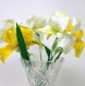 7 fleurs d'iris barbu faites 