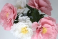 Bouquet de 3 fleurs de pivoine rose p
