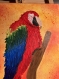 Tableau perroquet en peinture 