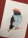 Lot de 5 cartes postales d'oiseaux à l'aquarelle - lot 1