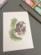 Lot de 5 cartes postales d'animaux à l'aquarelle - lot 2