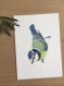 Lot de 4 cartes postales d'oiseaux à l'aquarelle - lot 3