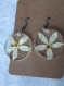 Boucles d'oreilles en résine epoxy et insert de fleurs séchées de jasmin étoilé