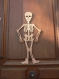 Squelette articulé en bois halloween