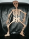 Squelette articulé en bois halloween
