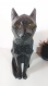 Grande statuette chat égyptien imitation granit noir imprimée en 3d, yeux jaune en résine époxy