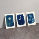 SurprÏse - 2x cartes postale en cyanotype en papier recyclé *upcycling*