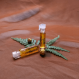Parfum naturel gnome authentique 1ml (échantillon) - esprit de la terre - artisanal - mixte - rechargeable - ingrédients bio majoritaires - eau de parfum