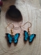 Une paire de boucles d'oreilles charmes en émail papillon bleu ou rouge