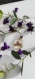 Collier et pendentif ovale en résine avec des fleurs roses séchées