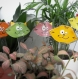 Pics a plantes - décoration de plantes - tête de chats