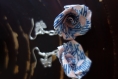 Boucle d'oreilles jolie fleur bleue