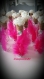 Contenant à dragée eprouvette en verre rose blanche et plume rose fushia