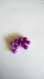 Perles rondes violettes