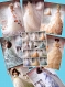 Grande magazine vintage français en format pdf.modeles pour couture robes mariages pour poupée barbie