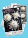 Magazine vintage pdf. modèles petites cousins au crochet ,instructions pour tricoté au crochet anglais  + légende symbole anglaise française