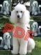 Amigurumi,modèle chien puddle au crochet pattern tutoriel anglais en  format pdf 