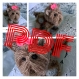 Modèle chien york en motifs fleurs africaines au crochet .schémas et diagrammes internationaux.patterns,patron,tutoriels français, anglais format pdf