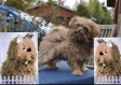 Amigurumi,modèle peluche chien au crochet pattern tutoriels français en format pdf