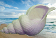 Amigurumi .modèle grande coquillage rose au crochet,pattern,tutoriel anglais en format pdf