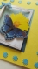 Carte 3d papillon et fleur