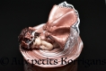 Boîte  à secrets - bébé avec robe rose et dentelle
