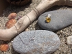 Collier argent pendentif coeur swarovski jaune