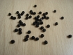 Lot de dix perles à facette noir   25-34
