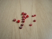 Lot de seize perles bicolor rouge et blanc   25-55