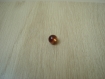 Cinq boutons perle marron nacré résine   25-3  +2