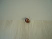 Cinq boutons perle marron nacré résine   25-3  +2