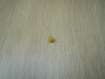 Lot de perles 6 mm jaune intense  25-81