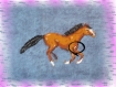 Diagramme du cheval au galop en miyuki