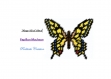 Schéma (pattern) :papillon machaon