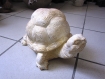 Moulage ciment tortue patinée main 17x27 cm 