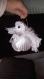 L'ange de noël coquille saint jacques ailes de plumes blanches