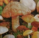 Serviette en papier champignon (371)