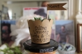 Lot de 10 caches-pots de succulentes cadeaux invités mariage