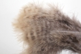 10 véritable duvet de faisane de colchide plume aérienne