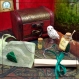 Kit pour sorcier, inspiré d'harry potter, aux couleurs de la maison de poudlard : serpentard
