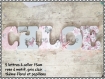 Lettre en bois / plaque de porte / prénom à coller / prénom en bois / lettre à coller / lettre décorative theme papillons et fleurs 15cm